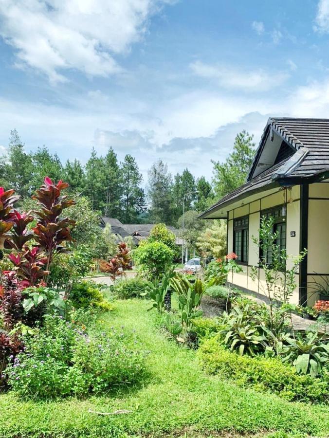 Designer Villa Osaka Puncak Exteriér fotografie