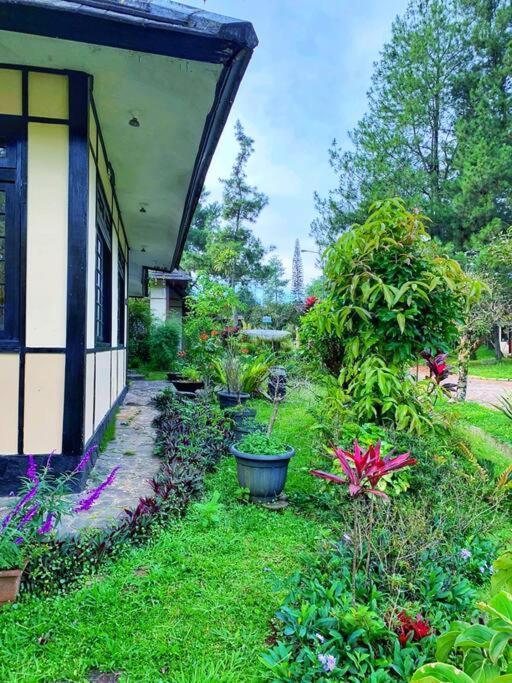 Designer Villa Osaka Puncak Exteriér fotografie