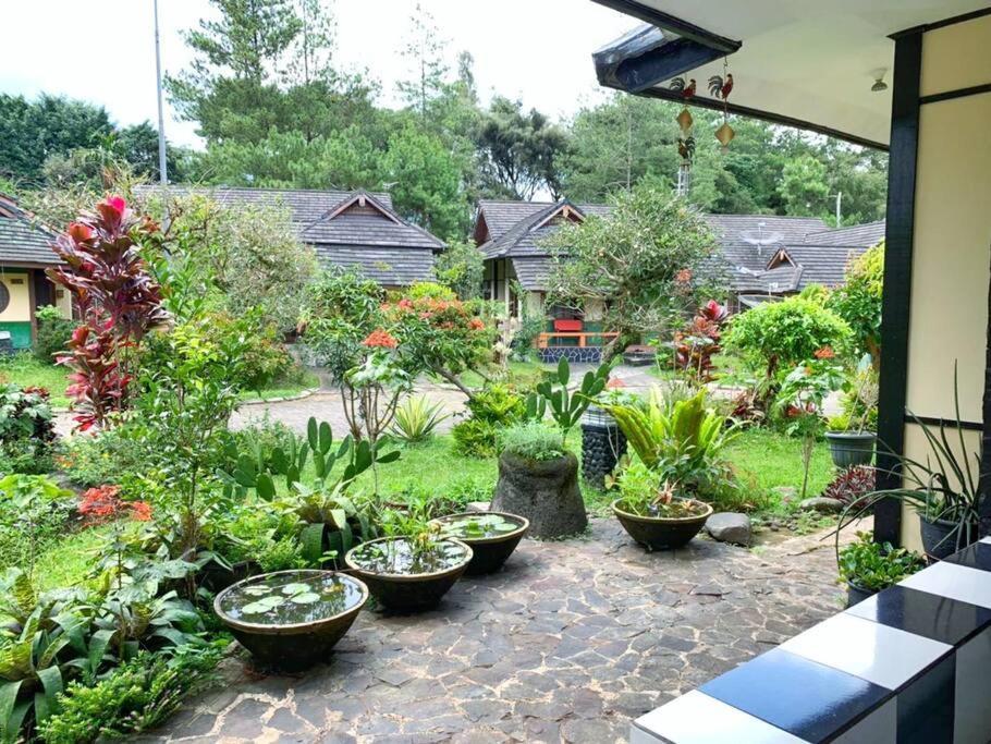 Designer Villa Osaka Puncak Exteriér fotografie