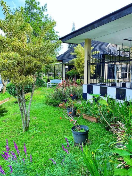 Designer Villa Osaka Puncak Exteriér fotografie